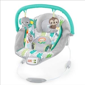 NEW BRIGHT STARTS Cradling Bouncer Baby Seat with Vibrations and Melodies